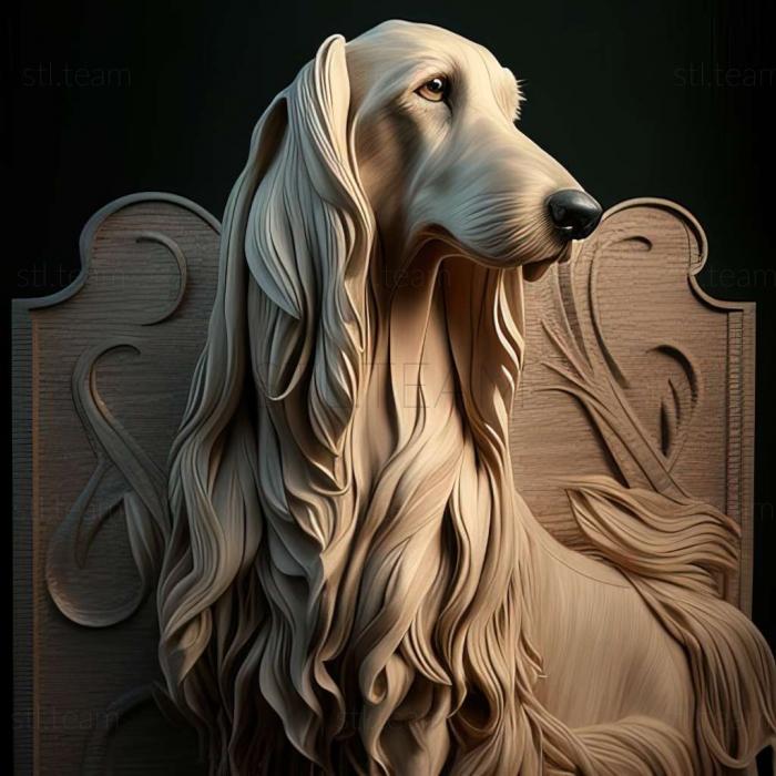 Animals The Afghan Hound dog